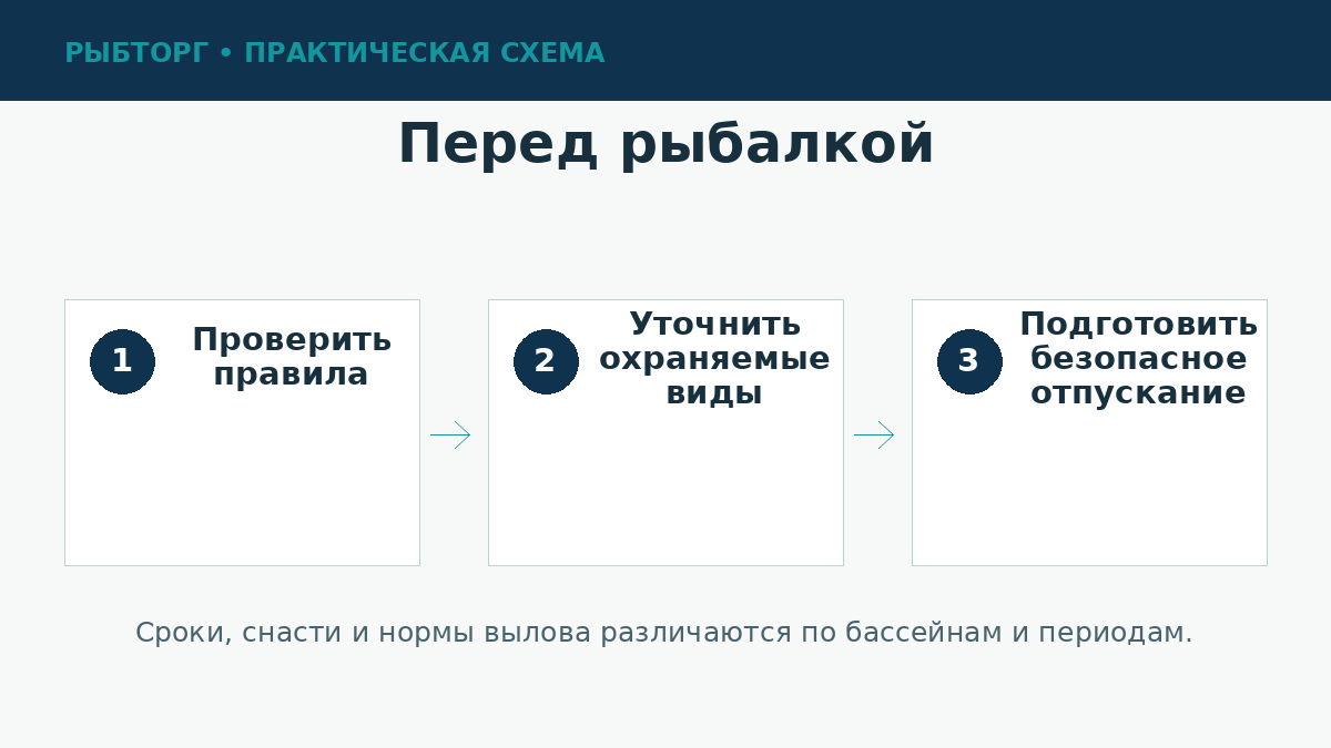 Проверка правил и видов перед рыбалкой