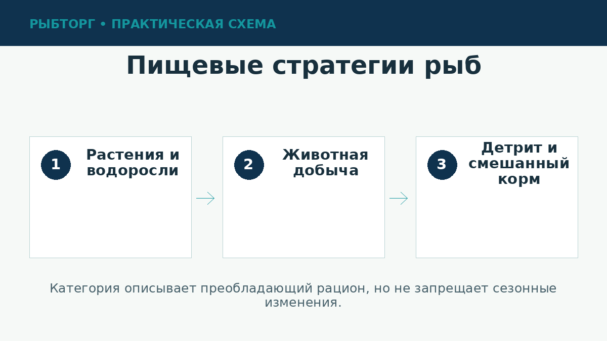 Основные типы питания рыб