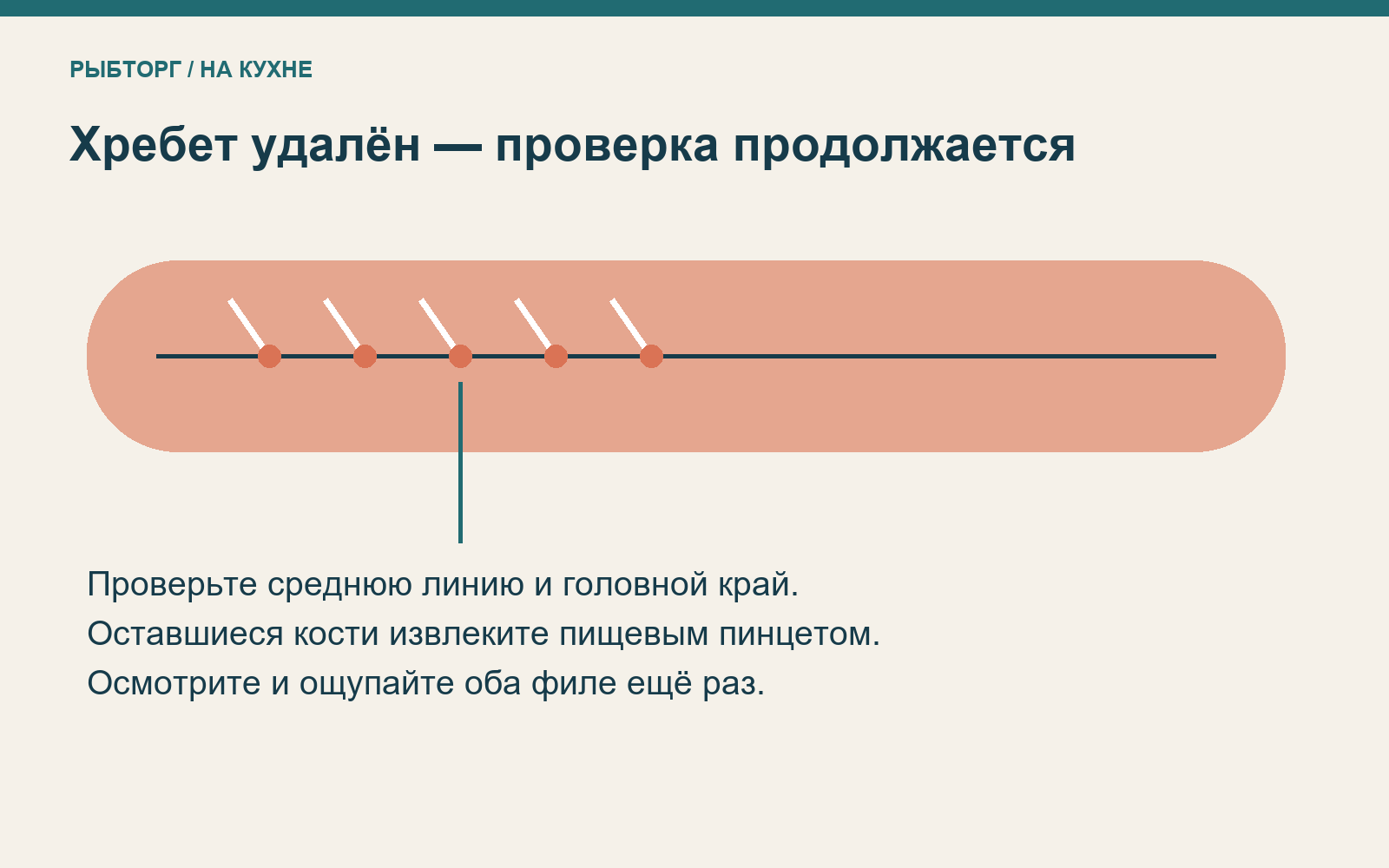 Схематичное филе с отмеченной зоной проверки мелких костей вдоль средней линии
